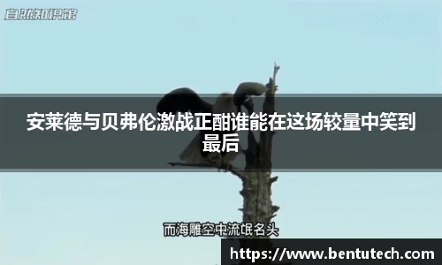 安莱德与贝弗伦激战正酣谁能在这场较量中笑到最后
